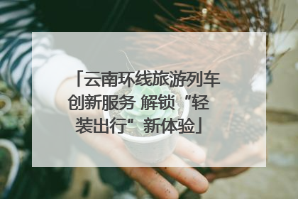 云南环线旅游列车创新服务 解锁“轻装出行”新体验