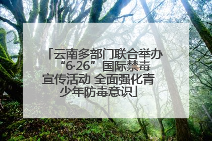 云南多部门联合举办“6·26”国际禁毒宣传活动 全面强化青少年防毒意识