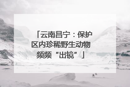 云南昌宁：保护区内珍稀野生动物频频“出镜”