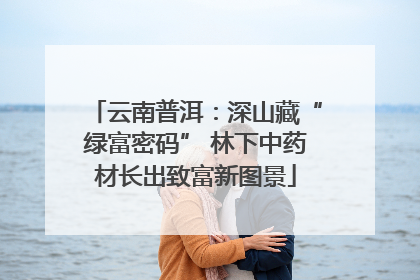 云南普洱：深山藏“绿富密码” 林下中药材长出致富新图景