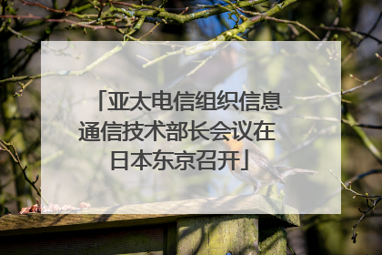 亚太电信组织信息通信技术部长会议在日本东京召开