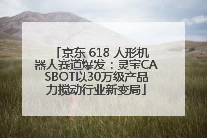 京东 618 人形机器人赛道爆发：灵宝CASBOT以30万级产品力搅动行业新变局
