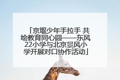 京堰少年手拉手 共绘教育同心圆——东风22小学与北京景风小学开展对口协作活动