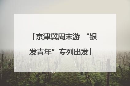 京津冀周末游 “银发青年”专列出发
