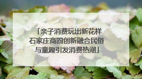 亲子消费玩出新花样 石家庄商圈创新融合民俗与童趣引发消费热潮