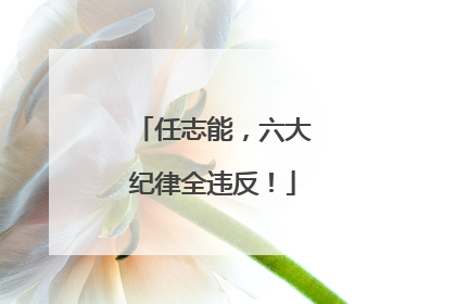 任志能，六大纪律全违反！