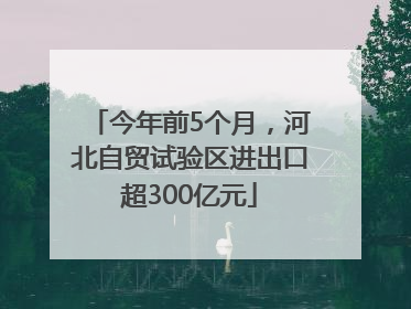 今年前5个月，河北自贸试验区进出口超300亿元