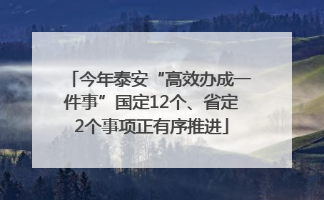今年泰安“高效办成一件事”国定12个、省定2个事项正有序推进