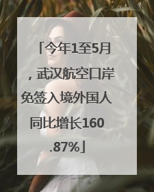 今年1至5月，武汉航空口岸免签入境外国人同比增长160.87%