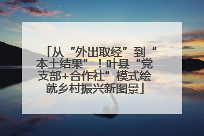 从“外出取经”到“本土结果”！叶县“党支部+合作社”模式绘就乡村振兴新图景