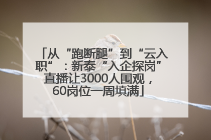 从“跑断腿”到“云入职”：新泰“入企探岗”直播让3000人围观，60岗位一周填满