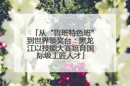 从“鲁班特色班”到世界领奖台：黑龙江以技能大赛培育国际级工匠人才