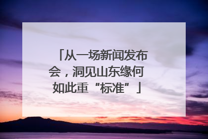 从一场新闻发布会，洞见山东缘何如此重“标准”