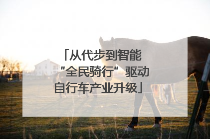 从代步到智能 “全民骑行”驱动自行车产业升级