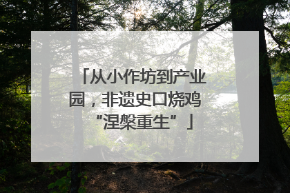 从小作坊到产业园，非遗史口烧鸡“涅槃重生”