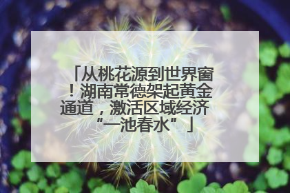从桃花源到世界窗！湖南常德架起黄金通道，激活区域经济“一池春水”