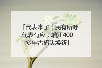 代表来了｜民有所呼代表有应，增江400多年古码头焕新