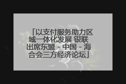 以支付服务助力区域一体化发展 银联出席东盟－中国－海合会三方经济论坛