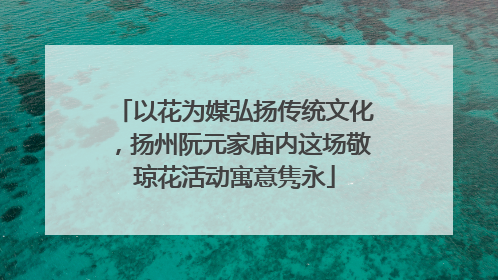 以花为媒弘扬传统文化，扬州阮元家庙内这场敬琼花活动寓意隽永