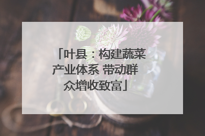 叶县：构建蔬菜产业体系 带动群众增收致富
