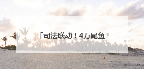 司法联动！4万尾鱼苗跃入长江｜“天平杯·随手拍”作品展播