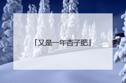 又是一年杏子肥
