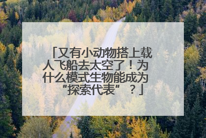 又有小动物搭上载人飞船去太空了！为什么模式生物能成为“探索代表”？