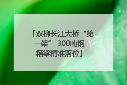 双柳长江大桥“第一架” 300吨钢箱梁精准落位