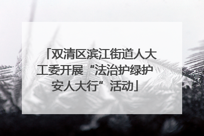 双清区滨江街道人大工委开展“法治护绿护安人大行”活动