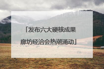 发布六大硬核成果 廊坊经洽会热潮涌动