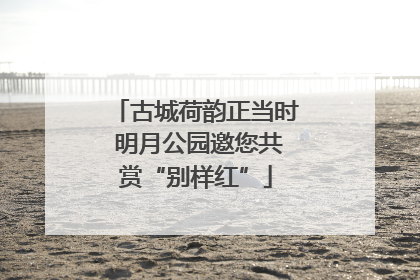 古城荷韵正当时 明月公园邀您共赏“别样红”