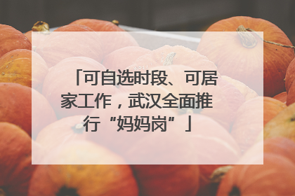 可自选时段、可居家工作，武汉全面推行“妈妈岗”