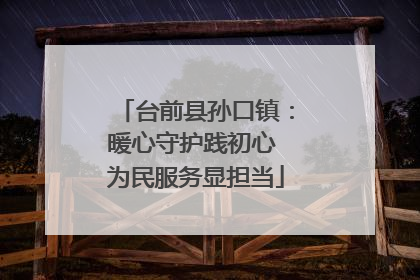台前县孙口镇：暖心守护践初心 为民服务显担当