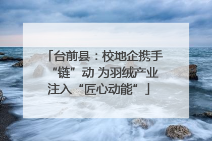 台前县：校地企携手“链”动 为羽绒产业注入“匠心动能”