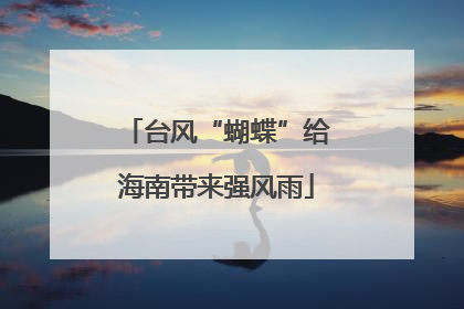 台风“蝴蝶”给海南带来强风雨