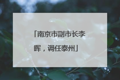 南京市副市长李晖，调任泰州