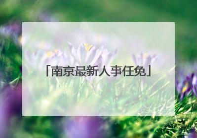 南京最新人事任免