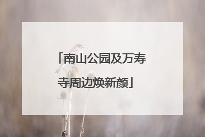 南山公园及万寿寺周边焕新颜
