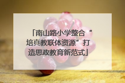 南山路小学整合“培真教联体资源”打造思政教育新范式