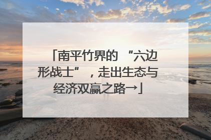 南平竹界的 “六边形战士”，走出生态与经济双赢之路→