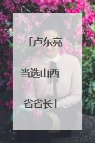 卢东亮当选山西省省长