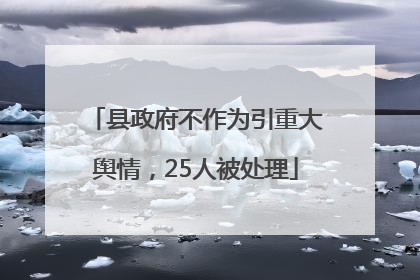 县政府不作为引重大舆情，25人被处理
