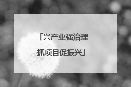 兴产业强治理 抓项目促振兴
