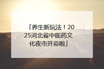 养生新玩法！2025河北省中医药文化夜市开幕啦