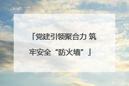 党建引领聚合力 筑牢安全“防火墙”
