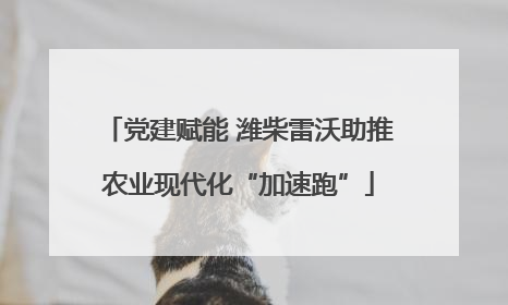 党建赋能 潍柴雷沃助推农业现代化“加速跑”