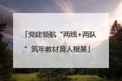党建领航“两线+两队”筑牢教材育人根基