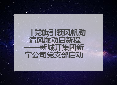 党旗引领风帆劲 清风廉动启新程——新城开集团新宇公司党支部启动“清风廉动党旗红”系列活动