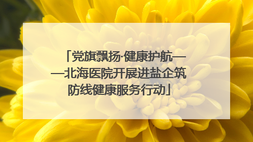党旗飘扬·健康护航——北海医院开展进盐企筑防线健康服务行动