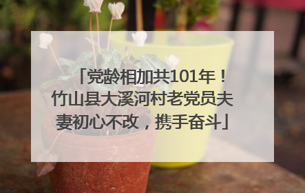 党龄相加共101年！竹山县大溪河村老党员夫妻初心不改，携手奋斗